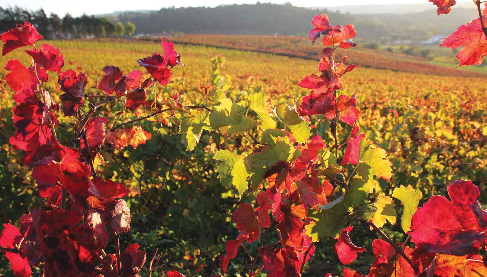 Quinta da Boa Esperança